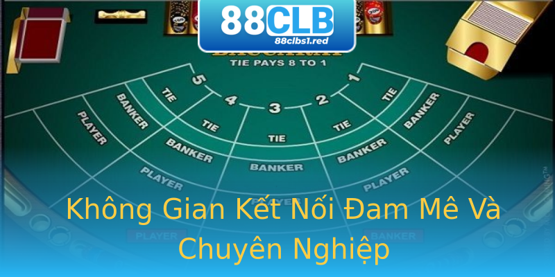 Không Gian Kết Nối Đam Mê Và Chuyên Nghiệp Không Gian Kết Nối Đam Mê Và Chuyên Nghiệp